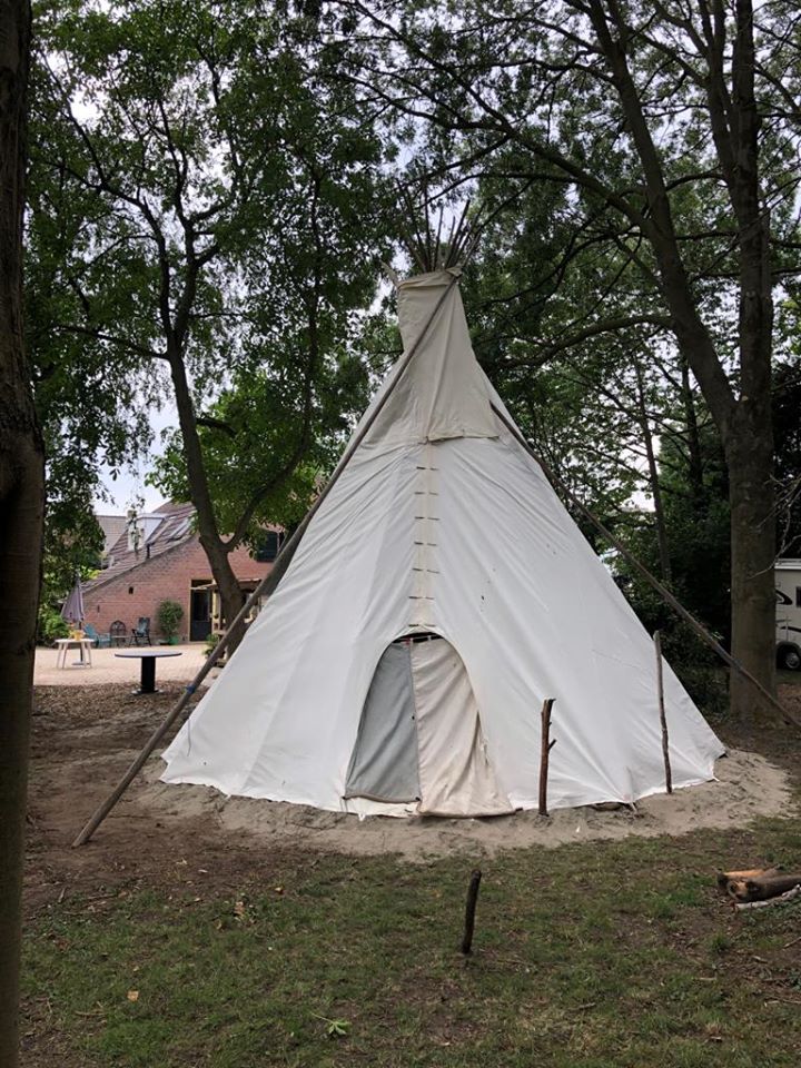 tipi